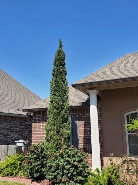 Kajun Gutters & More LLC