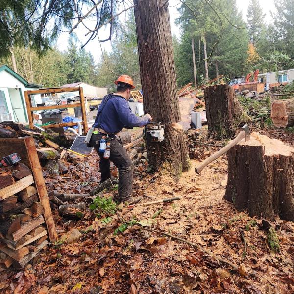 Big Branch Tree Service LLC