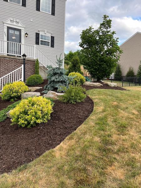 Roman's Lawn & Landscape
