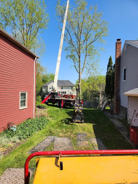 Parks Tree West (Westshore Tree Service Llc)