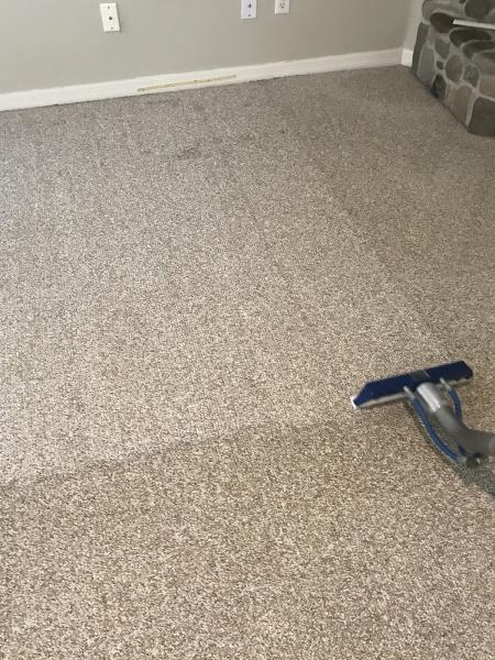 Stain Lifters Carpet Cleaning