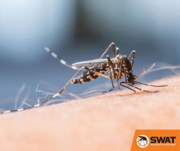 Swat Mosquito Systems