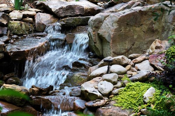 Reedy River Landscapes