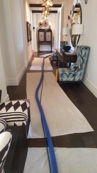 On the Spot Carpet Cleaning