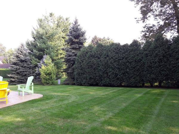 Lou's Lawn Care