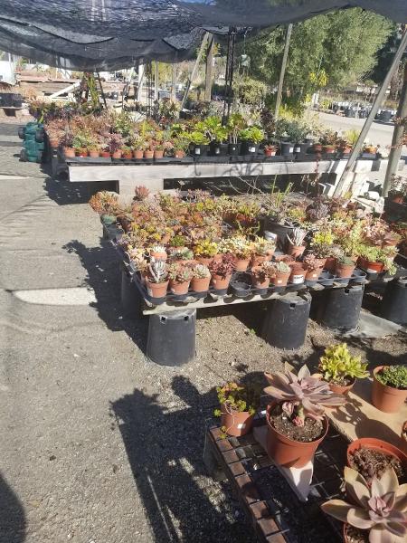 Garrison Foothill Nursery