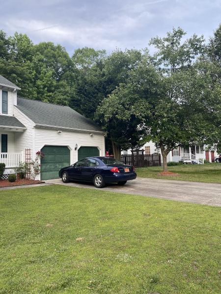 Absolute Tree Surgeons LLC