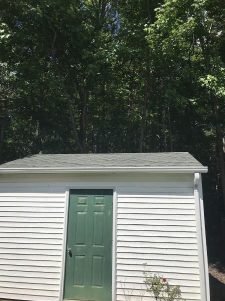 Absolute Tree Surgeons LLC