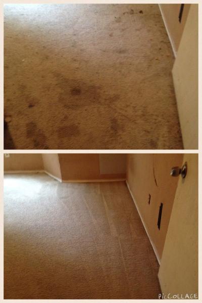 Smart Carpet Cleaning