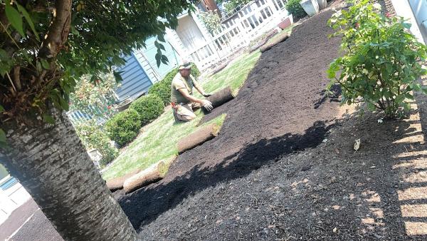 Alonso Landscape Services