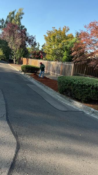 Alonso Landscape Services