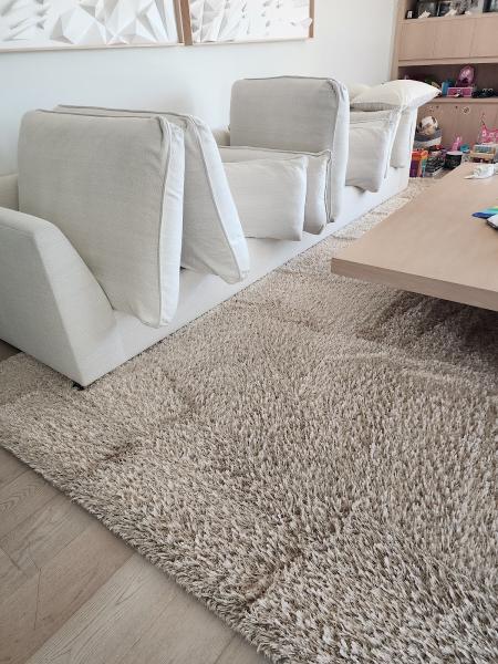 Max Carpet and Upholstery Cleaning
