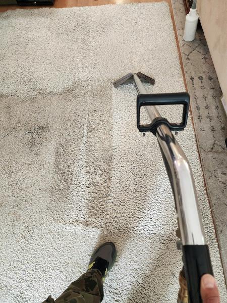 Max Carpet and Upholstery Cleaning
