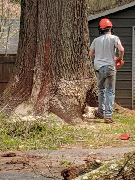 Nate's Tree Service