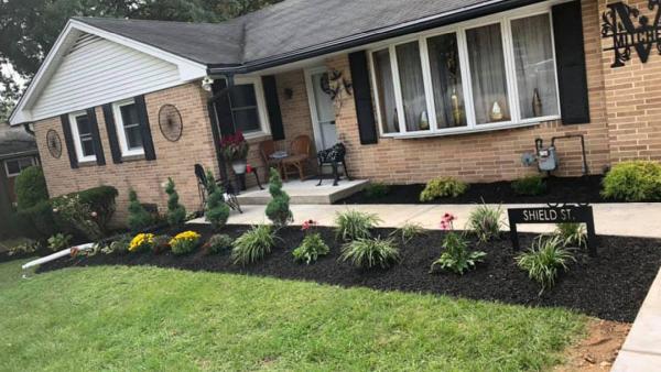 Green Tree Property Care & Maintenance