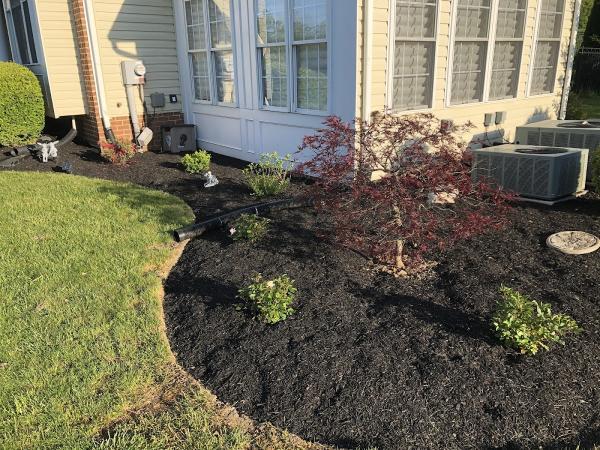 Green Tree Property Care & Maintenance