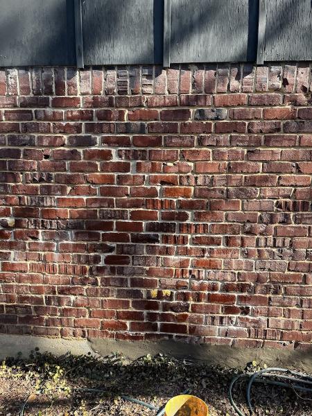 Brickology
