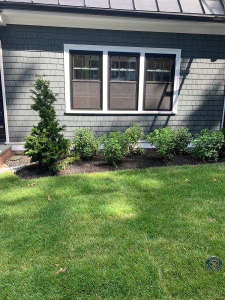 Black Diamond Landscapes
