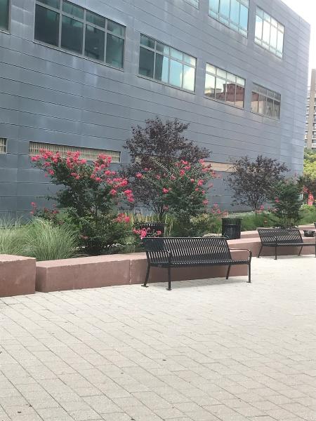 Scenic Land Design