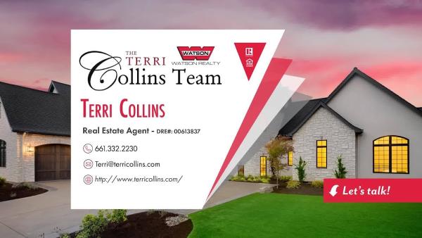 The Terri Collins Team