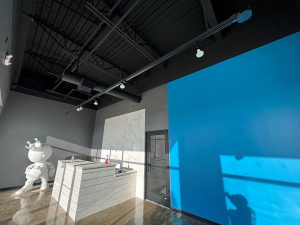Hanzel Paint Co.