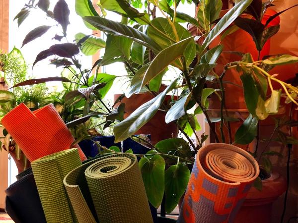 Gardenalia LLC
