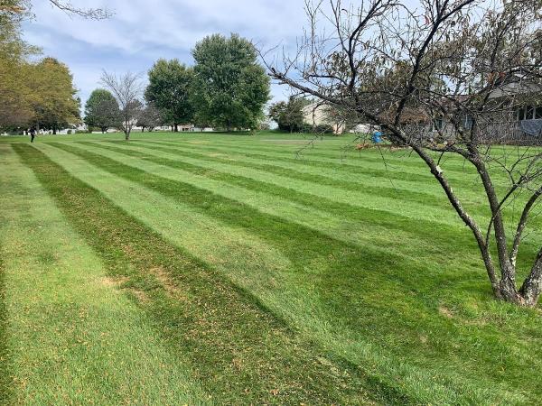 JPS Landscaping & Junk Removal Llc