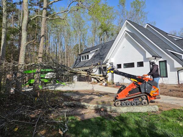Combs' Tree Service
