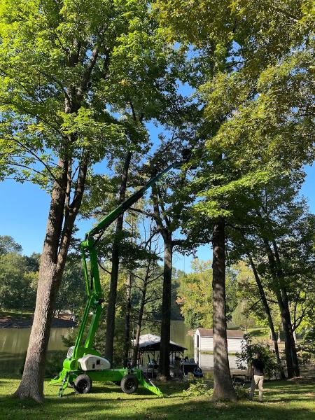 Combs' Tree Service