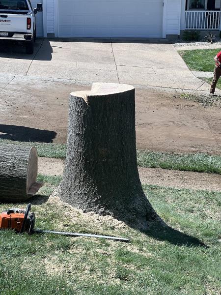 Jackson Tree Service