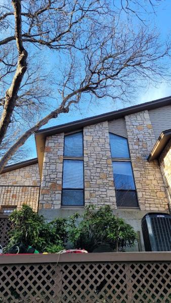 Hill Country Tree