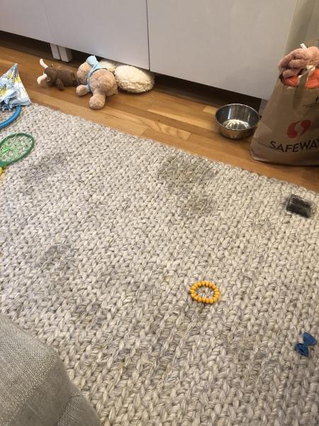 Sparkling Carpets