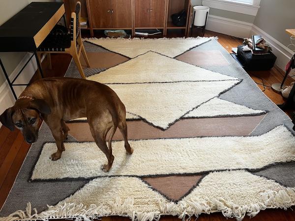 Sparkling Carpets