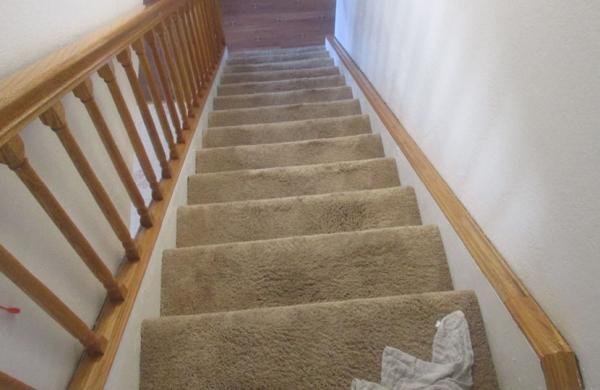 Sparkling Carpets