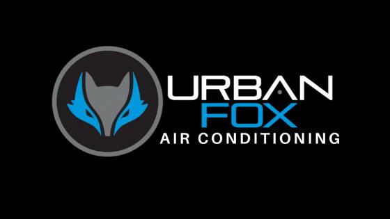 Urban Fox