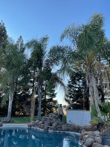 Prime Tree Service