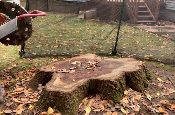 Prime Tree Service