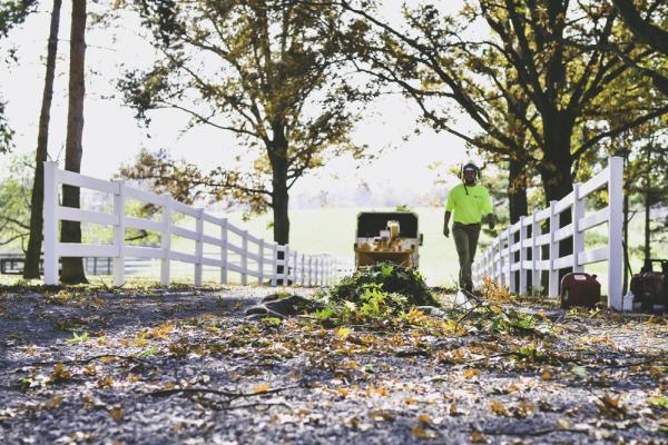 Horhut Tree Experts
