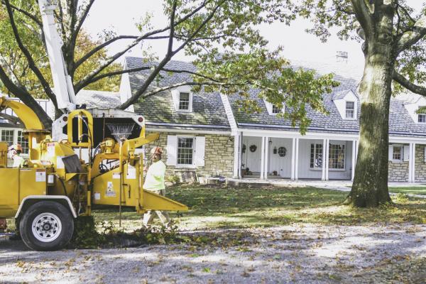 Horhut Tree Experts