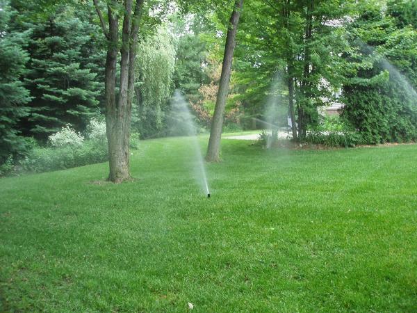 Dave's Irrigation Inc.