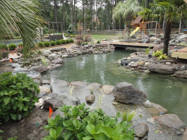 Eaise Design & Landscaping