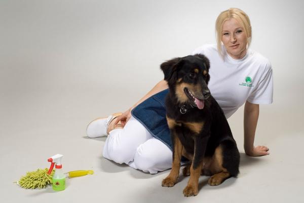 Clean & Green Cleaning Service