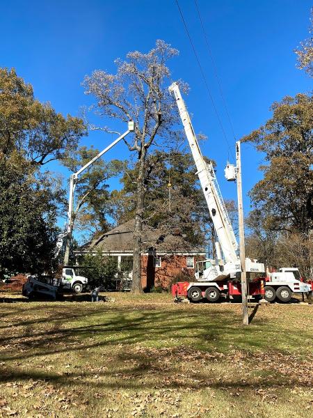 Curb Appeal Tree Service
