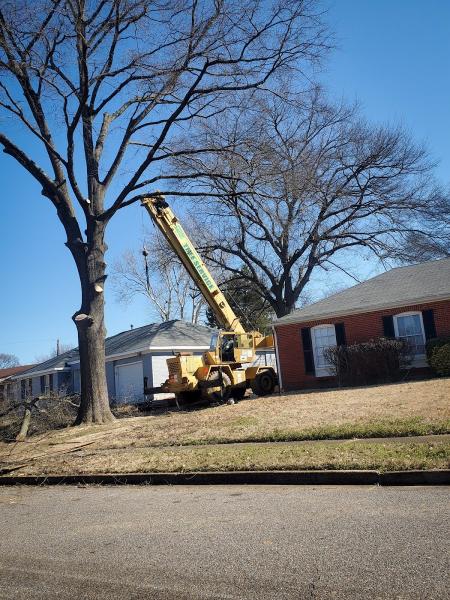 Curb Appeal Tree Service