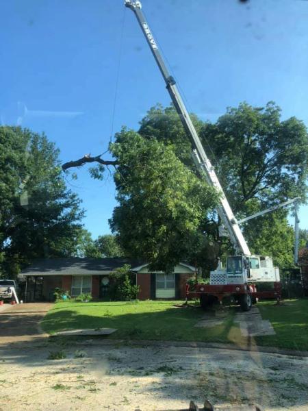 Curb Appeal Tree Service