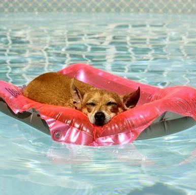 BBC Pool Service LLC