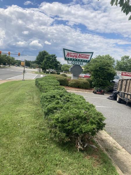 Hernandez Snow Removal and Landscaping Services