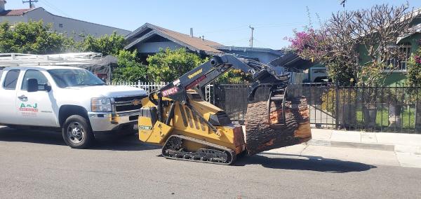 A & J Tree Service