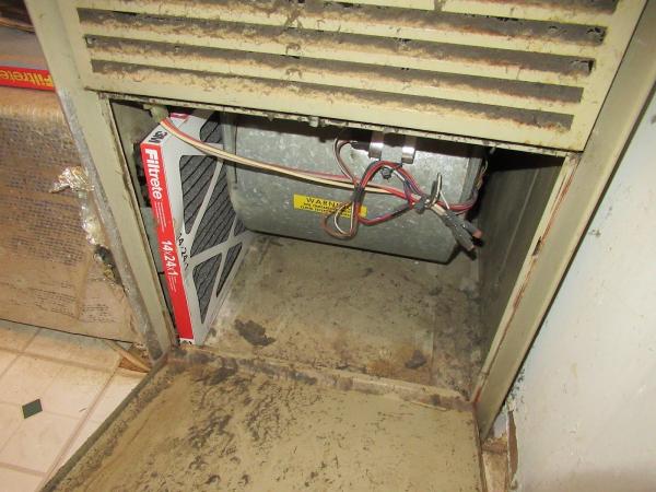 PE Home Inspection