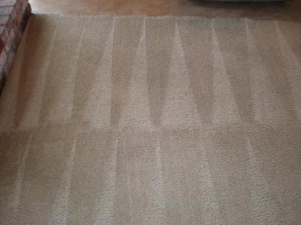 Knockout Carpet Cleaning